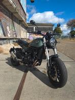 Benelli Leoncino 500 2022, 2 cilinders, Particulier, Minimaal motorrijbewijs A2, Sportuitlaat