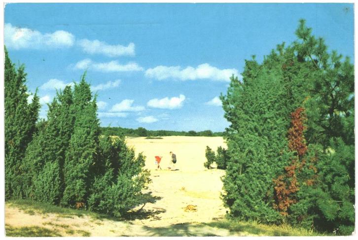 910086 Drouwen Drouwenerzand Drenthe 1970 Gelopen met Post, Verzamelen, Ansichtkaarten | Nederland, Gelopen, Drenthe, 1960 tot 1980