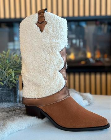 Shetland Teddy laars beschikbaar voor biedingen