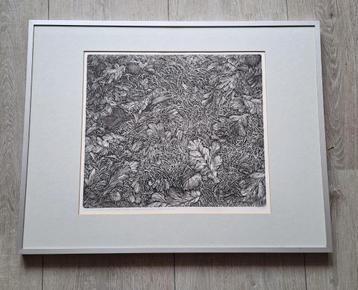 Ets Paulien Wittenrood - Eikenblad onder larixnaalden beschikbaar voor biedingen