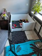 Werpkist, Warmtelamp en ren te koop., Ophalen, Hondenkennel, 110 cm of meer, 100 cm of meer