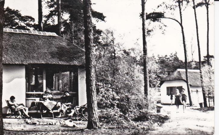 00743 Doorn - Recreatiecentrum het Grote Bos, Verzamelen, Ansichtkaarten | Nederland, Gelopen, Utrecht, 1960 tot 1980, Verzenden