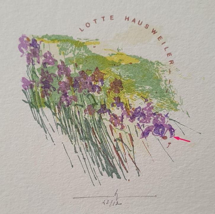 Exlibris / Ex libris M. Baeyens, blauwe irissen, Antiek en Kunst, Kunst | Etsen en Gravures, Verzenden