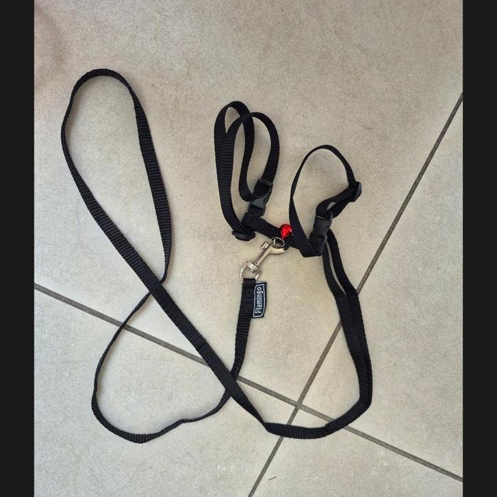 looplijntjes klein huisdier met bel, Boeken, Dieren en Huisdieren, Zo goed als nieuw, Konijnen of Knaagdieren, Ophalen of Verzenden