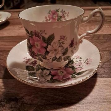 Prachtige kop en schotel . Bone China.  beschikbaar voor biedingen