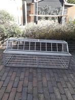 Spoednik, Meerdere dieren, Postduif