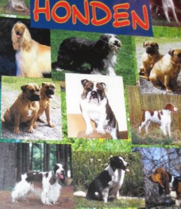 Alles over Honden Rassen Shows Fokken etc  