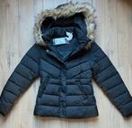 Coolcat Jas 170/176 Nieuw, Kleding | Dames, Ophalen of Verzenden