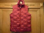 Wijnrode bodywarmer, Ophalen of Verzenden, Zo goed als nieuw, Maat 38/40 (M), Rood