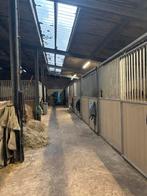 Stalling vrij, Dieren en Toebehoren, Stalling en Weidegang, Stalling