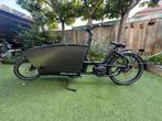 Urban Arrow Family Cargo Line (500Wh), Fietsen en Brommers, Fietsen | Bakfietsen, 4 kinderen of meer, Gebruikt, Elektrisch, Ophalen