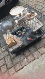 Hamsterkooi, Dieren en Toebehoren, Kooi, Gebruikt, Minder dan 75 cm, Ophalen