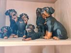 Rottweiler beeldjes ongeveer 16 stuks, Ophalen, Zo goed als nieuw, Dier