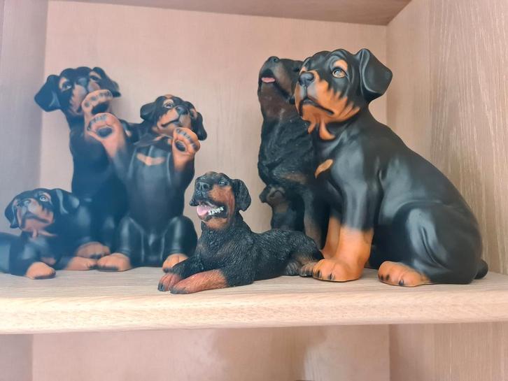 Rottweiler beeldjes ongeveer 16 stuks, Verzamelen, Beelden en Beeldjes, Zo goed als nieuw, Dier, Ophalen