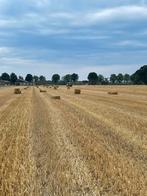 Hesston stro, Dieren en Toebehoren, Stalling en Weidegang, Toebehoren
