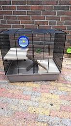 Hamsterkooi 50x32x45, Dieren en Toebehoren, Knaagdieren en Konijnen | Hokken en Kooien, Kooi, Gebruikt, Minder dan 75 cm, Ophalen
