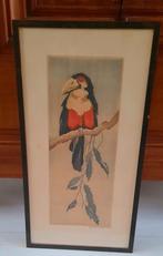 antieke houtsnede,lithografie Toekan,vogel ,1900, Antiek en Kunst, Kunst | Schilderijen | Klassiek, Ophalen of Verzenden