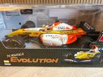 NIEUW Nikko Renault ING F1 Elektrische RC Auto, Ophalen of Verzenden, Gebruikt, Auto, Overige merken