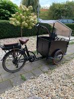 Elektrische 3-wiel bakfiets Vogue Family Move, Fietsen en Brommers, Fietsen | Bakfietsen, Gebruikt, Goederen, Elektrisch, Ophalen
