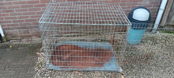 Zware metalen bench hond., Dieren en Toebehoren, Hondenhokken, Gebruikt, 65 tot 100 cm, 75 tot 110 cm, Ophalen