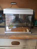 35x22x30, Dieren en Toebehoren, Ophalen, Gebruikt, Leeg aquarium