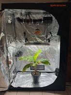 Spider Farmer 140x70x200cm Full Grow Set, Ophalen of Verzenden, Zo goed als nieuw, Overige typen