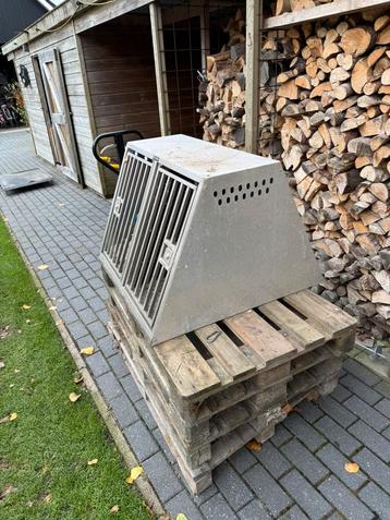 Hondenbench auto beschikbaar voor biedingen