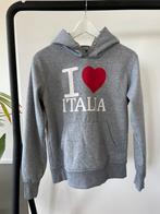 Trui / hoodie van Italia, Ophalen of Verzenden, Zo goed als nieuw, Maat 34 (XS) of kleiner, Grijs