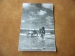 TERSCHELLING  >  DE STRANDJUTTER IN ZEE, Verzenden, 1960 tot 1980, Gelopen, Waddeneilanden