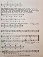 Leiddraad tot het spel op de Alt Blokfluit - Collette, Gebruikt, Les of Cursus, Ophalen of Verzenden, Blokfluit