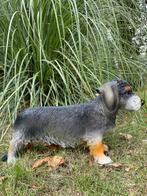 Teckel beeld tuin kunst hond huisdier, Ophalen, Nieuw, Steen, Dierenbeeld