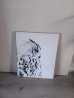 Poster/afbeelding van uil in baklijst, Huis en Inrichting, Woonaccessoires | Schilderijen, Tekeningen en Foto's, Ophalen of Verzenden