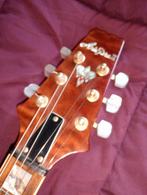 Aria pro 2 PE ( korea 1998), Ophalen of Verzenden, Gebruikt, Solid body, Overige merken