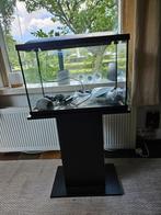 70L aquarium met meubel en accessoires, Ophalen, Zo goed als nieuw, Leeg aquarium
