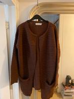 Sissy Boy Bruin Vest Maat L alpaca mix, Bruin, Maat 42/44 (L), Sissy-Boy, Ophalen of Verzenden