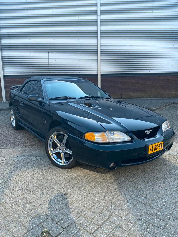 Ford Mustang SVT Cobra | Uniek | Bijna nieuw!, Auto's, Ford, Particulier, Mustang, Airbags, Airconditioning, Cruise Control, Lichtmetalen velgen