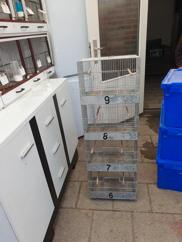 Broedtoren ( 4 hoog ), Dieren en Toebehoren, Vogels | Hokken en Kooien, Zo goed als nieuw, Broedkooi of Kweekkooi, Metaal, Ophalen of Verzenden