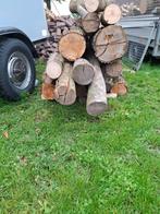 Mooie drogen stammen essen hout, Minder dan 3 m³, Ophalen, Essenhout, Stammen