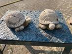 Twee betonnen schildpadden, Tuin en Terras, Ophalen