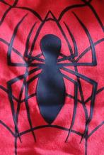 Spiderman trainingspak, maat 116, Kinderen en Baby's, Overige typen, C&A, Ophalen of Verzenden, Zo goed als nieuw
