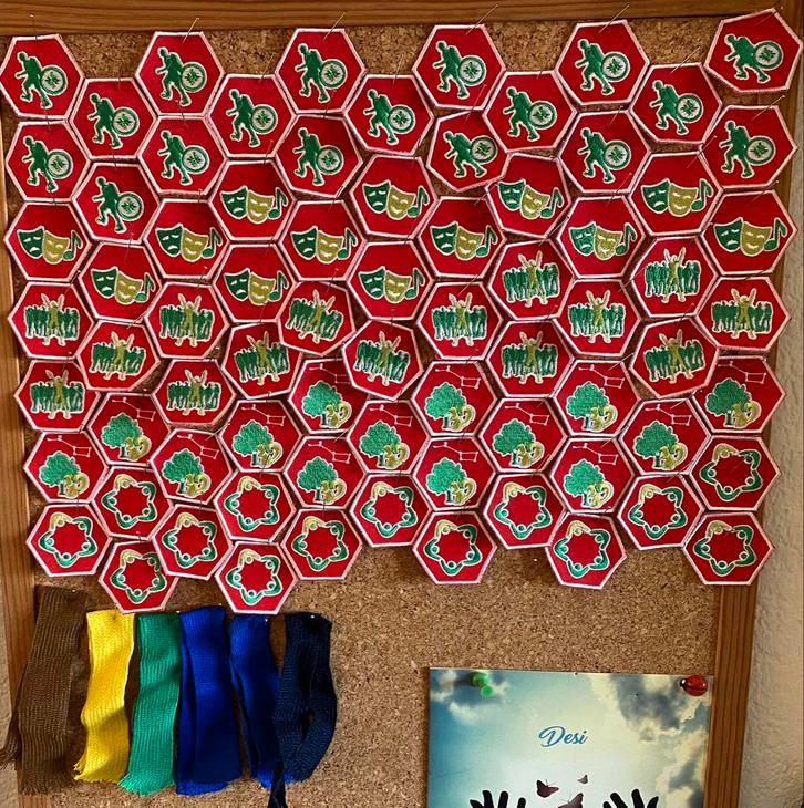 Scouting Insignes Collectie, Verzamelen, Scouting, Zo goed als nieuw, Embleem, Speld of Insigne, Ophalen of Verzenden