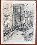 Originele oude tekening: landschap, boom, Ophalen of Verzenden