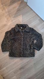 Hema panterprint teddy jas 134/140, Kinderen en Baby's, Kinderkleding | Maat 134, Meisje, Ophalen of Verzenden, Zo goed als nieuw