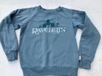 Origineel trui Efteling Raveleijn 134/140, Ophalen of Verzenden, Zo goed als nieuw, Kleding