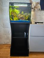 Fluval aquarium Flex LED incl onderkast 57 L, 39x39x41, Ophalen, Zo goed als nieuw, Leeg aquarium