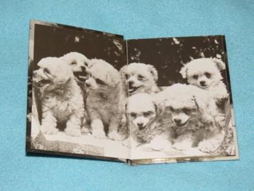 Schattig nieuw adresboekje met foto's van honden in zwartwit