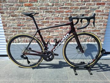 Cervelo R5 Ultegra di2 maat 56 beschikbaar voor biedingen