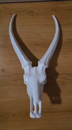 skull/schedel decoratie, Ophalen of Verzenden