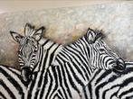Prachtig schilderij op doek zebra’s door kunstschilder, Ophalen