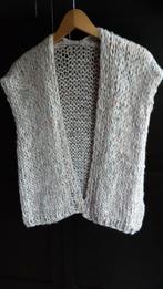 Mohair gilet, Kleding | Dames, Ophalen of Verzenden, Nieuw